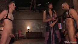Two guys get punished by a pretty and horny ladyboy